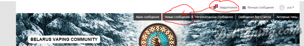 Снимок.PNG