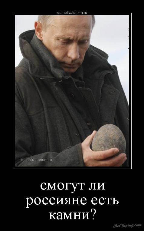 demotivatorium_ru_smogut_li_rossijane_est_kamni_69742.jpg