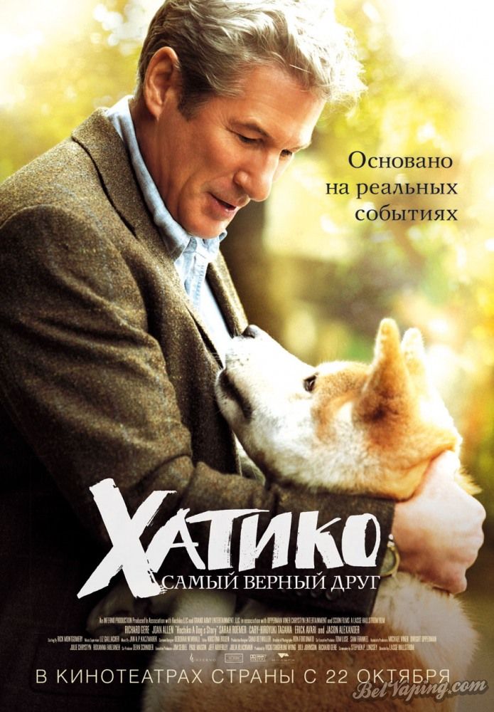 Хатико.jpg
