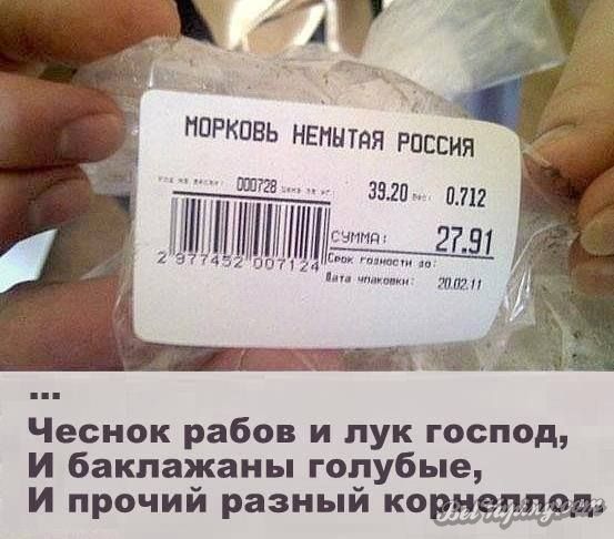 original (1).jpg