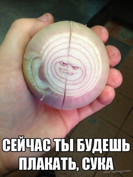 smeshnye-kartinki-s-nadpisjami-27.jpg