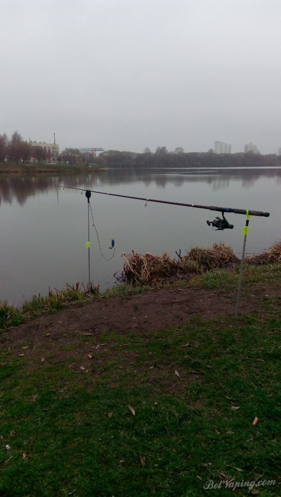 IMG_20160409_123045.jpg