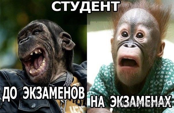 utw1dqwszlu.jpg