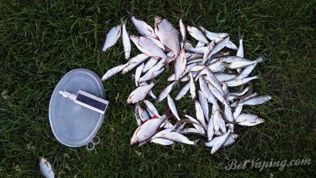 IMG_20160504_203259.jpg