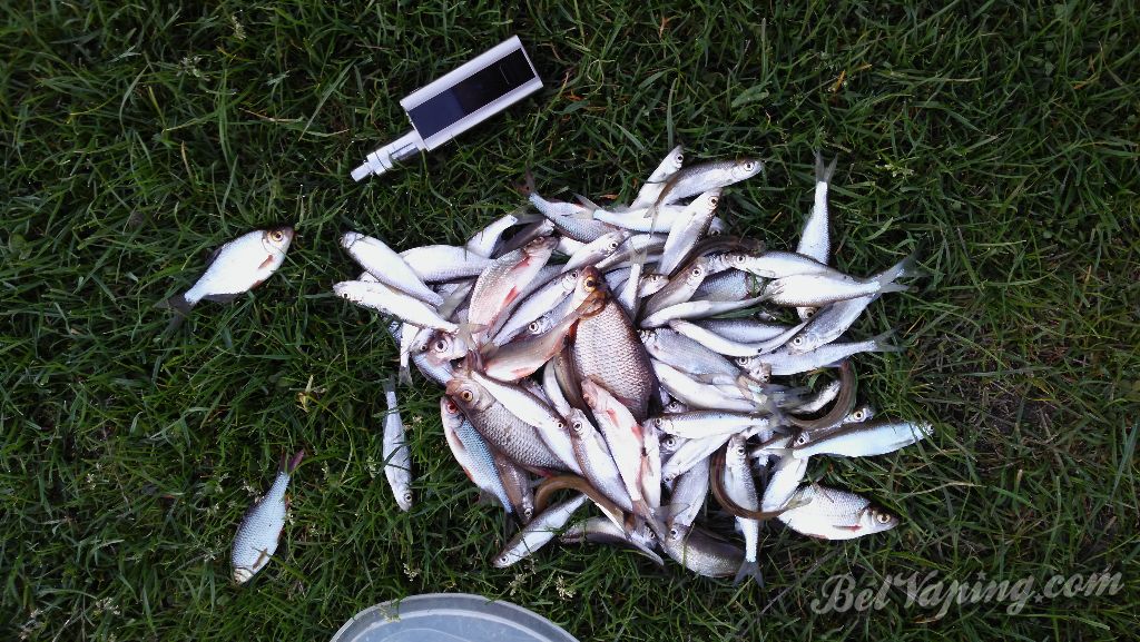 IMG_20160504_203153.jpg
