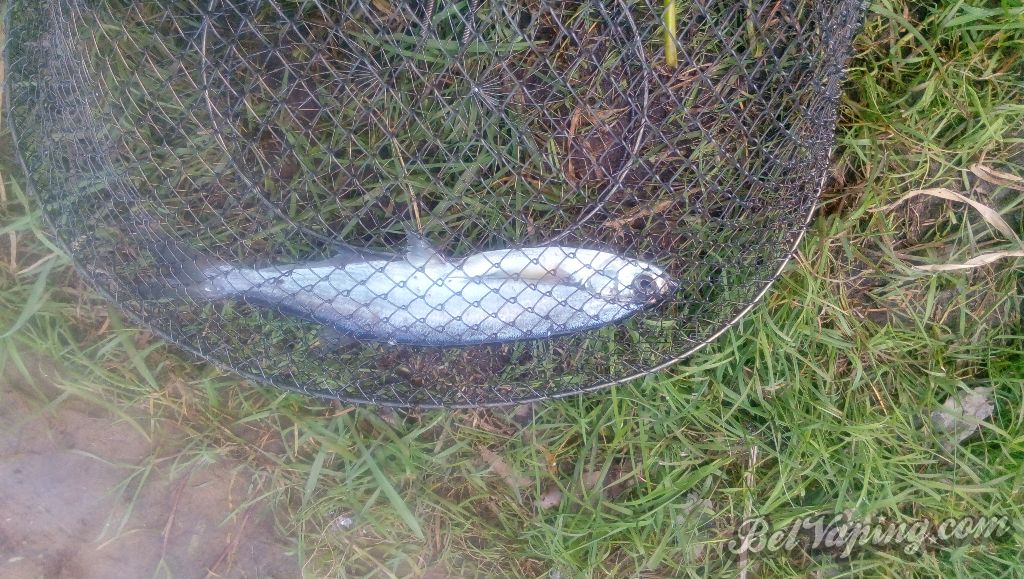 IMG_20160508_132456.jpg