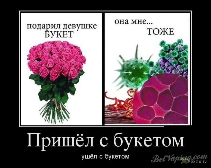 1381474544_demotivatory_09.jpg