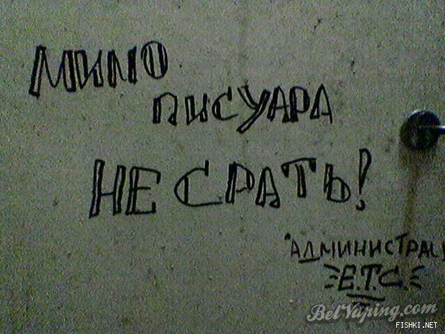 7579870_3845648_mimonesrat.jpg