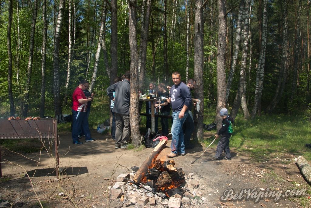 SV№6_ 17.1.jpg