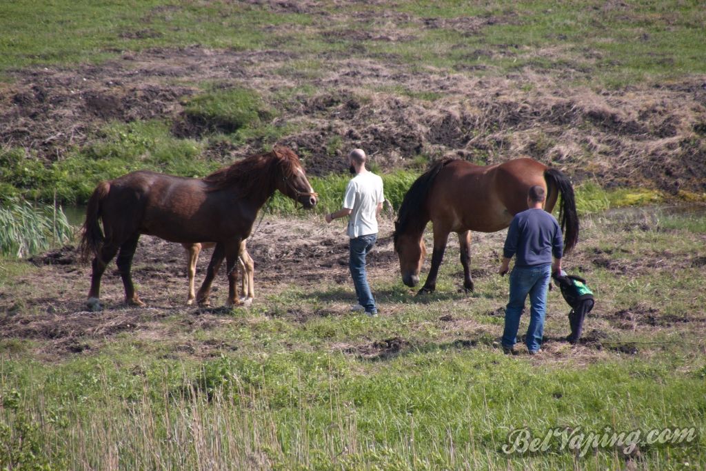 SV№6_ 19.1.jpg