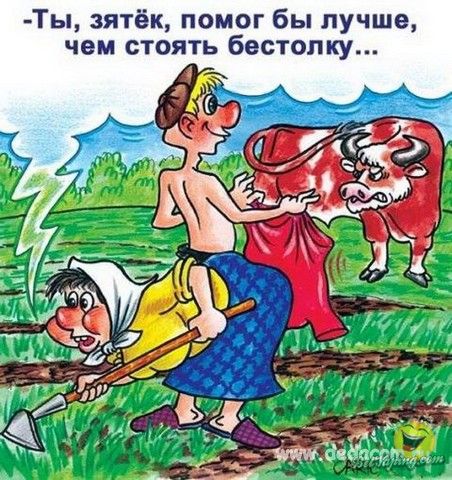Image00008.jpg