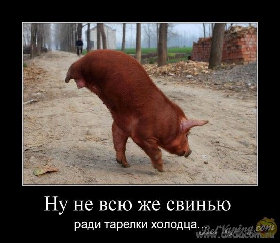 Image00015.jpg