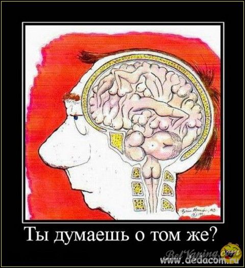 1337282107_15.jpg