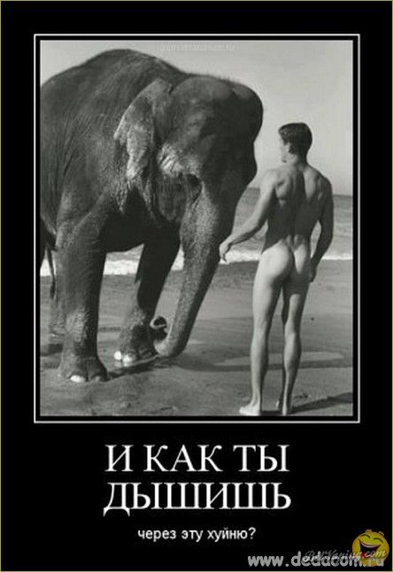Image00006 (1).jpg