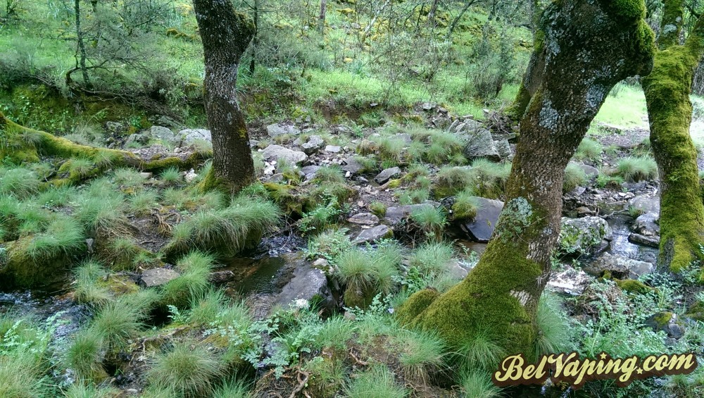 IMAG0544.jpg