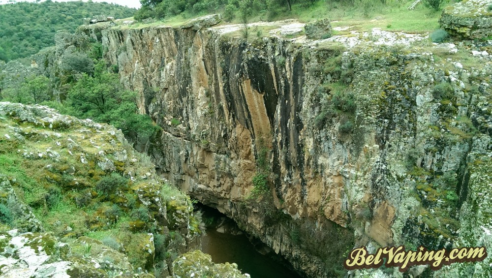 IMAG0553.jpg