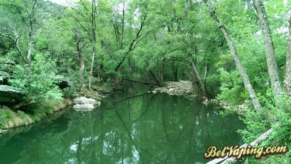 IMAG0577.jpg