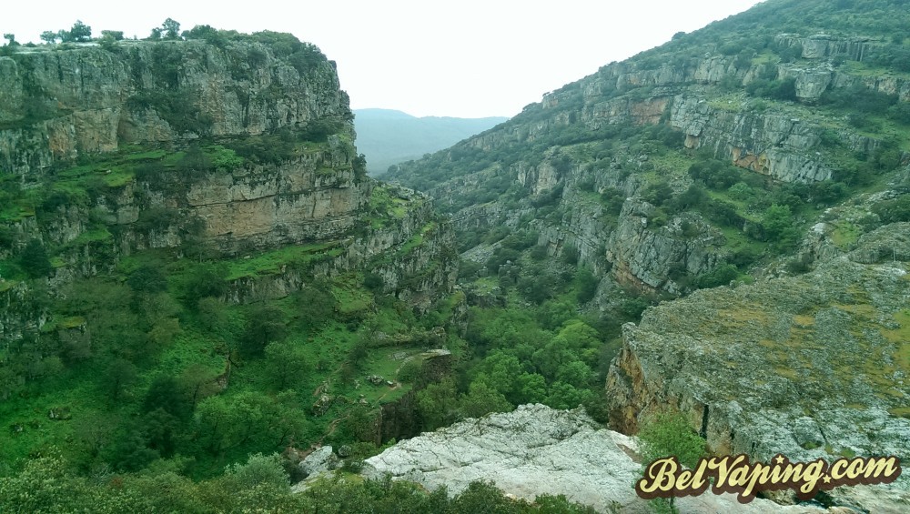 IMAG0589.jpg
