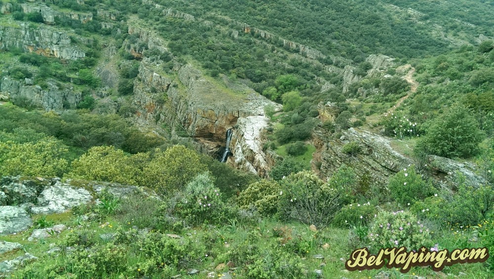 IMAG0604.jpg