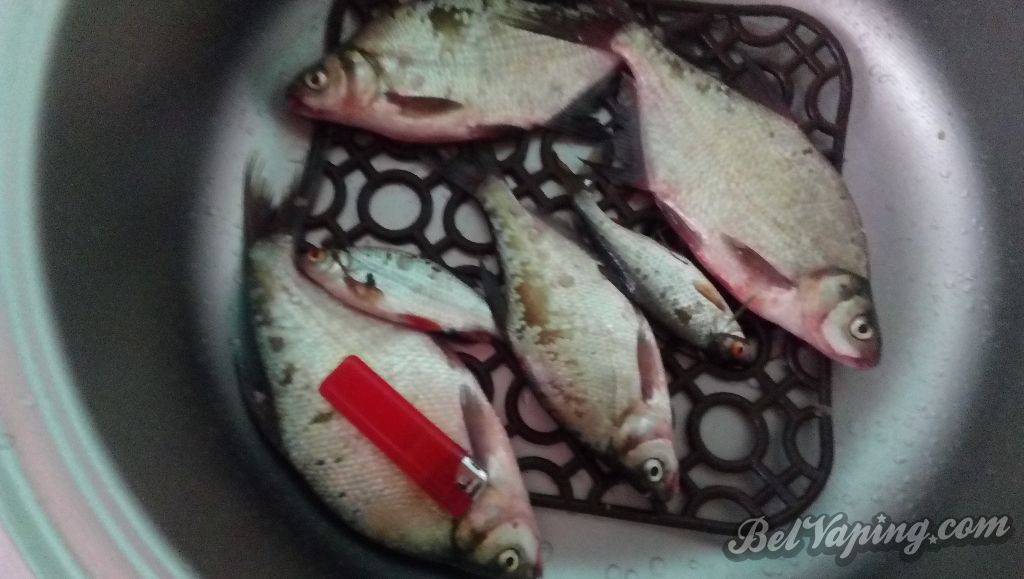 IMG_20160723_130918.jpg