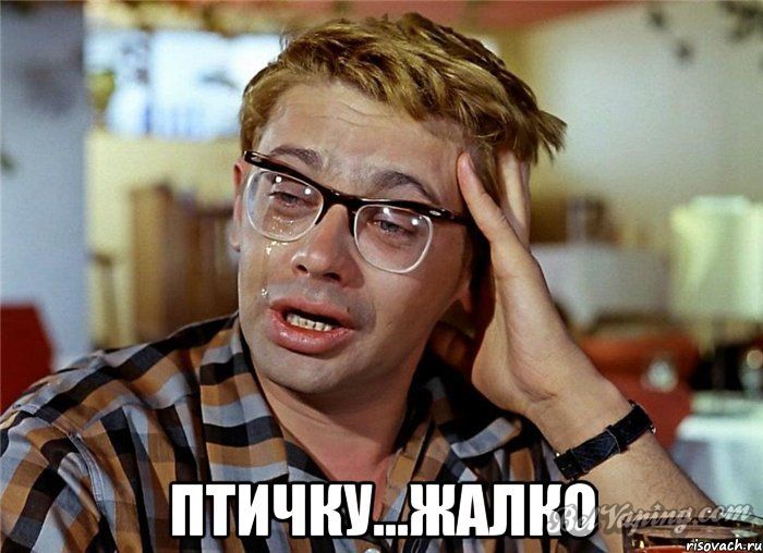 f_8862775_orig_.jpeg