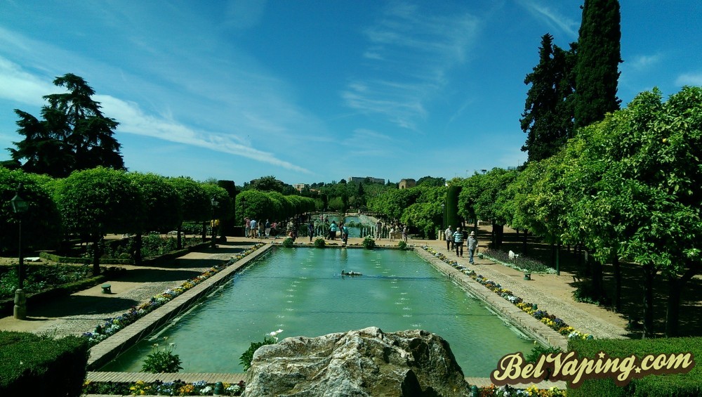 IMAG0739.jpg