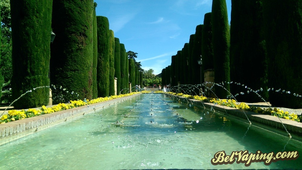 IMAG0768.jpg
