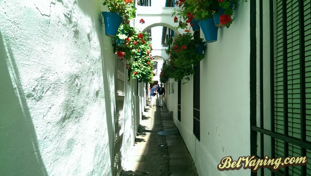 IMAG0827.jpg