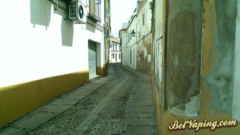IMAG0611.jpg