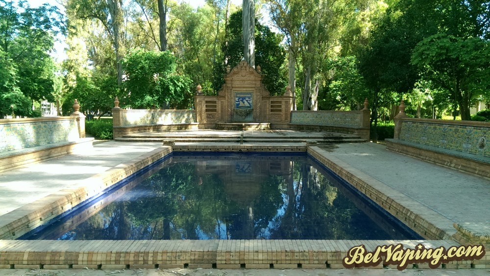 IMAG0891.jpg