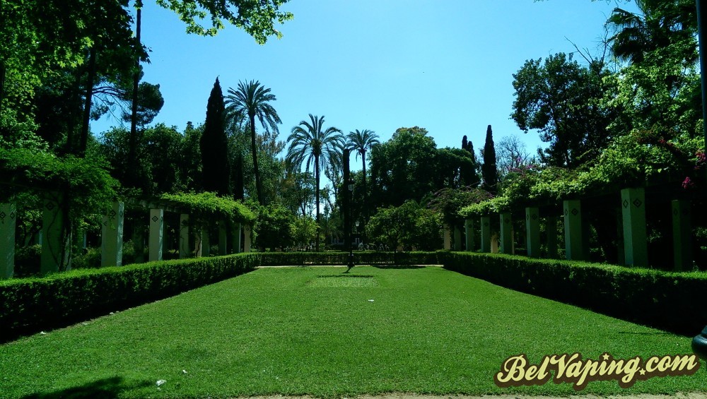 IMAG0890.jpg