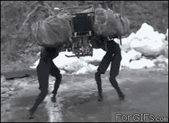 tumblr_m6062kjzQn1qdlh1io1_250.gif