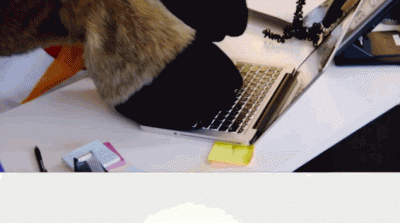 giphy-3.gif
