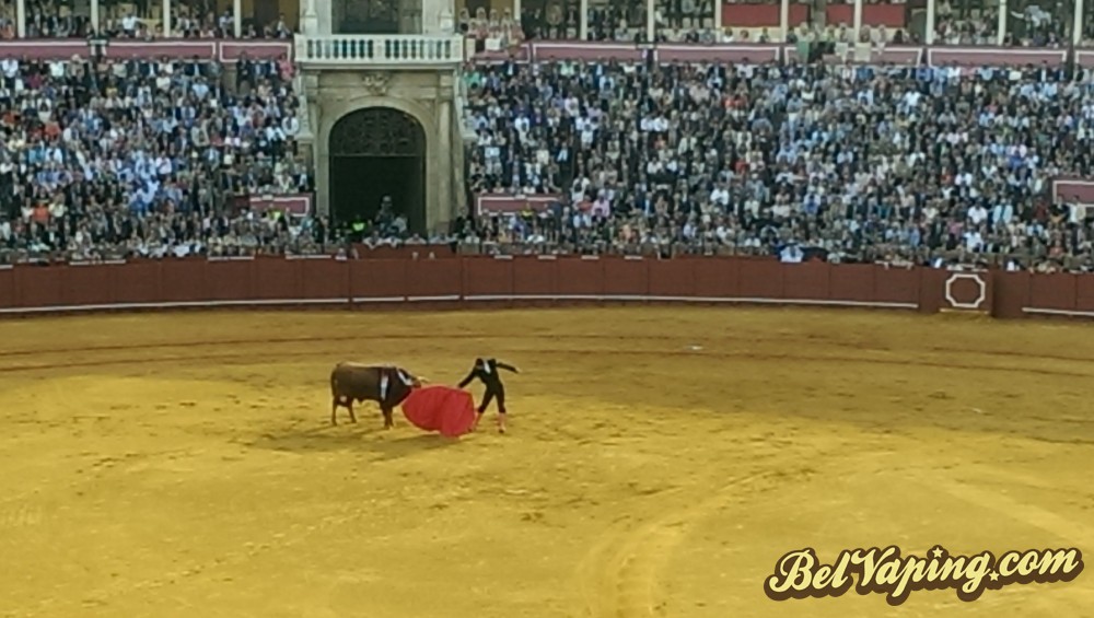 IMAG0965.jpg