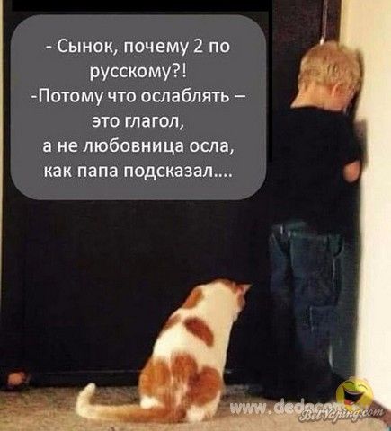 Image00020.jpg