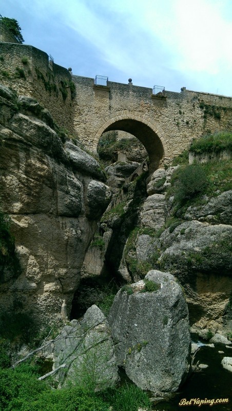 IMAG1120.jpg