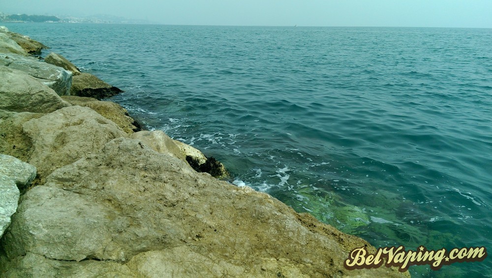 IMAG1190.jpg