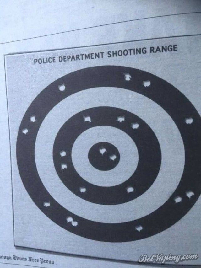 8464425.jpg