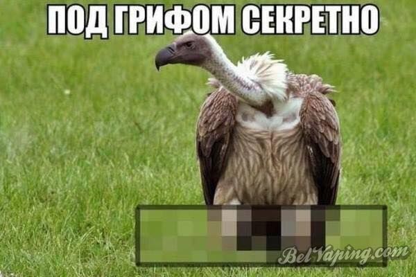 09.jpg