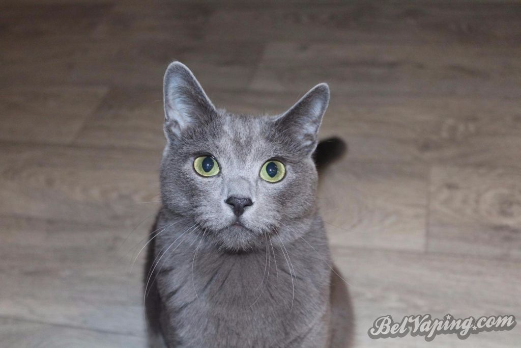 image (4).jpg