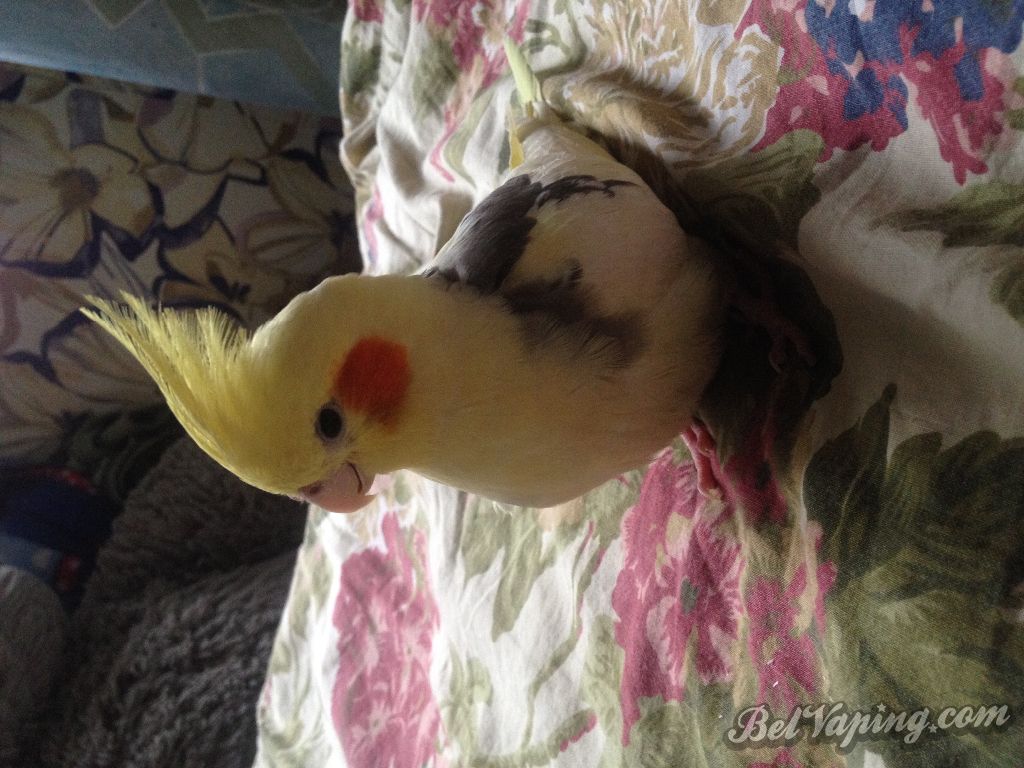 image.jpeg