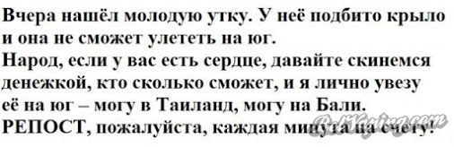 пролд.jpg