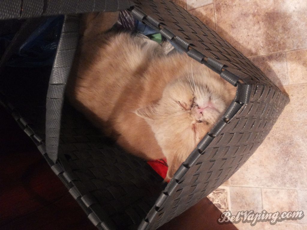 20140323_200420.jpg