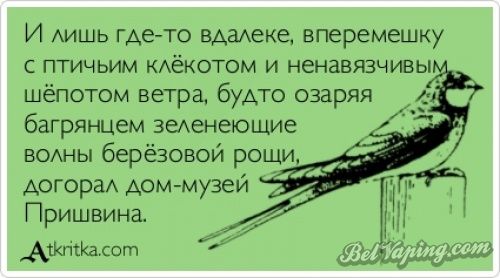 2752055-R3L8T8D-500-atkritka_1384301340_401.jpg