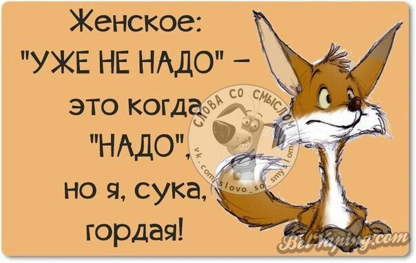q-O1QNLrHpynSy41qheeeOwdhkG0-01WgMYv-e8j2HlfUM6pWZAXxKhg7SzzqpcDt1j37OC77AY=w1366-h768-no.jpg