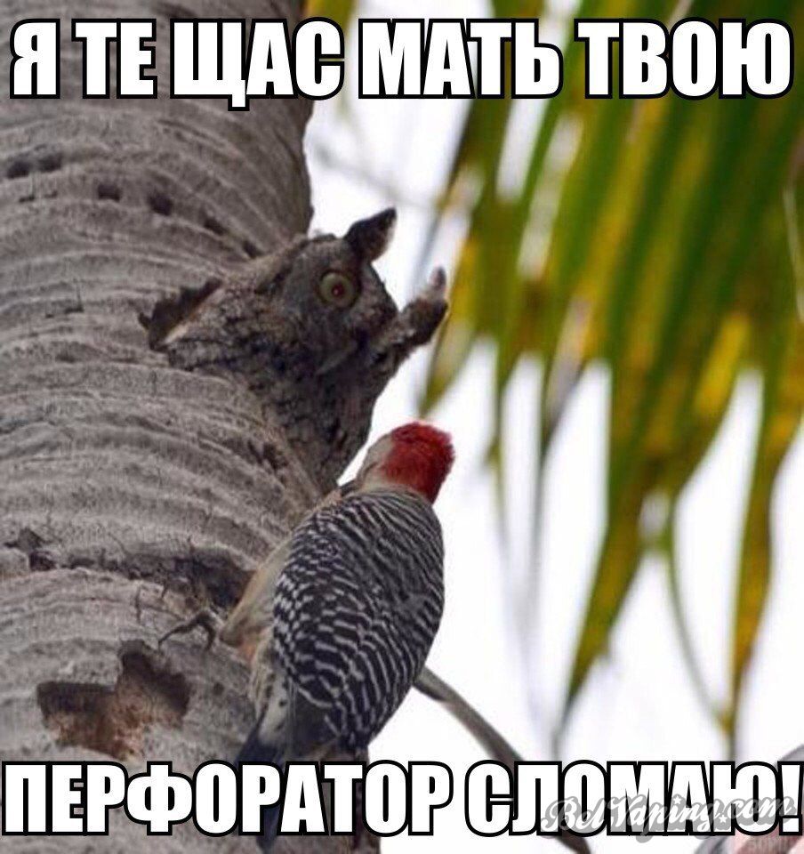 hzUSwe5bqgc.jpg