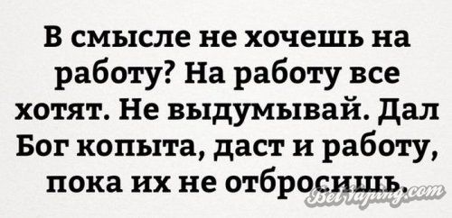original (1).jpg