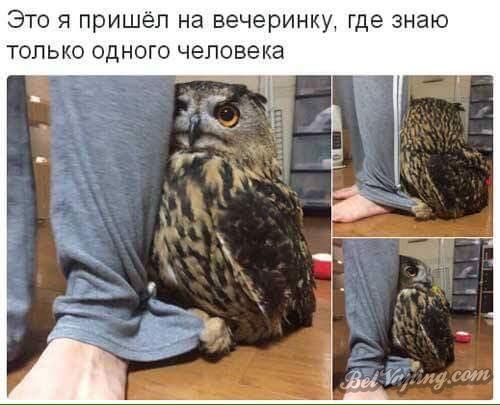 24.jpg