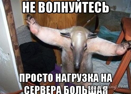 mooraved.jpg