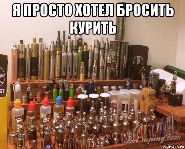 8265645.jpg